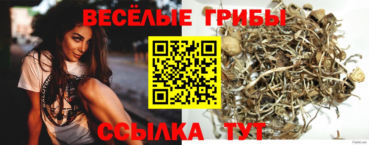 Чистополь  Галлюциногенные грибы Magic Shrooms  Вход с VPN 