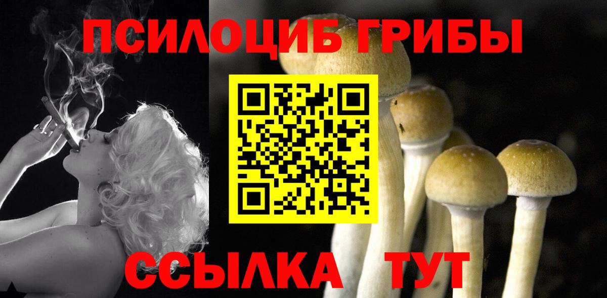 Псилоцибиновые грибы мухоморы Чистополь